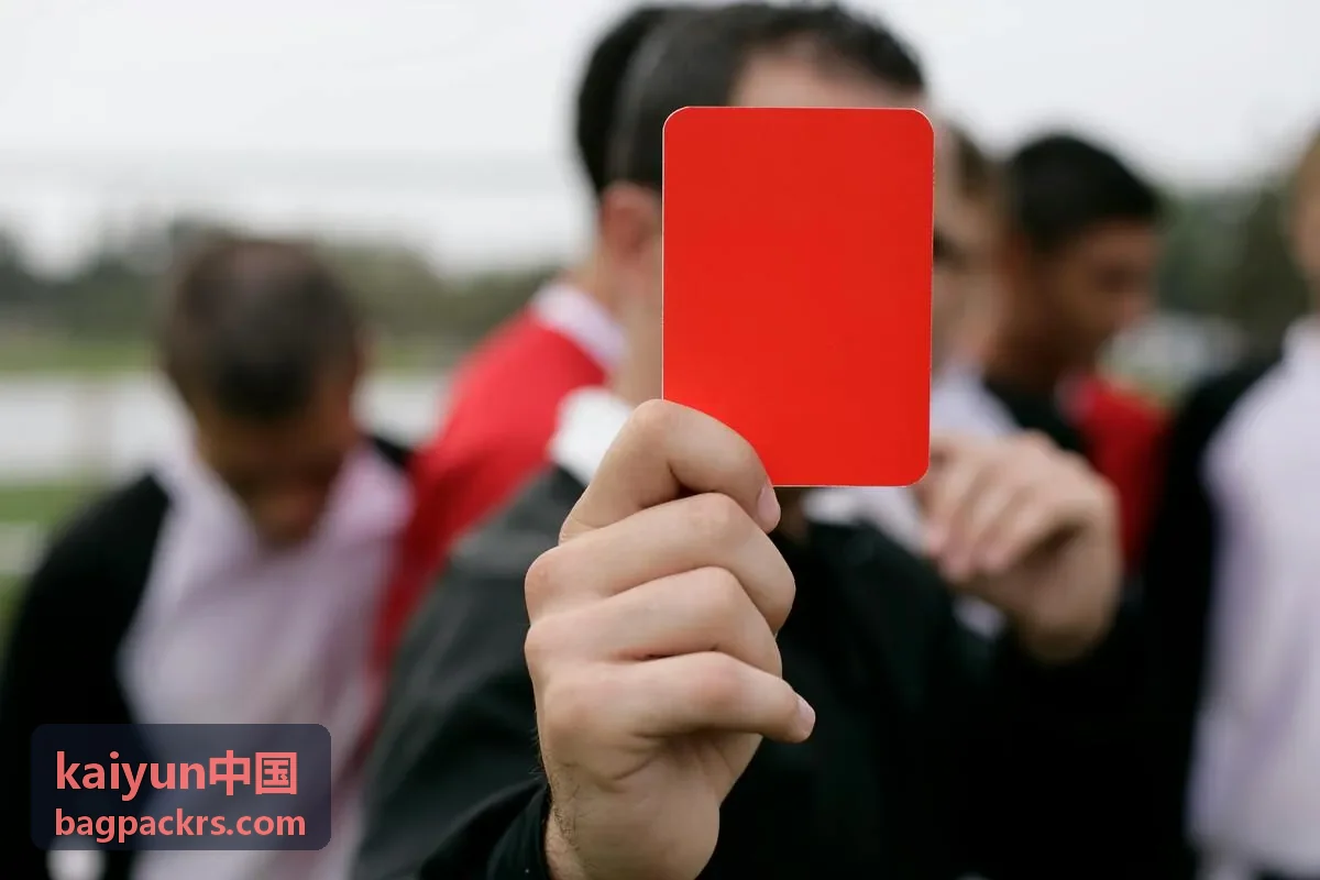 kaiyun中国 效率小物清单缩略图
