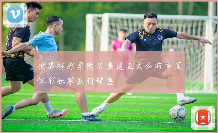 世界杯彩票购买渠道正式公布中国体彩独家发行销售