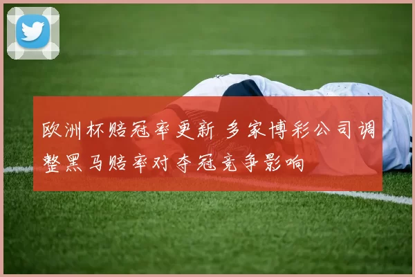 欧洲杯赔冠率更新 多家博彩公司调整黑马赔率对夺冠竞争影响