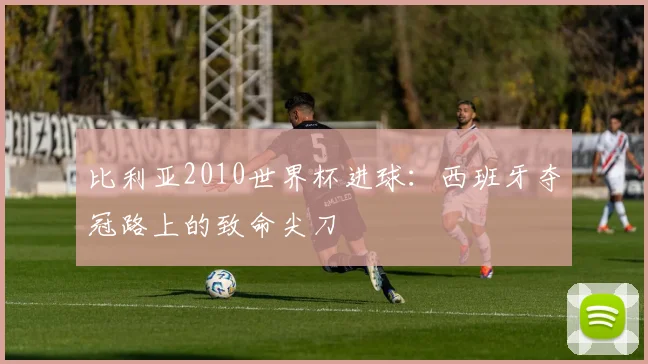 比利亚2010世界杯进球：西班牙夺冠路上的致命尖刀