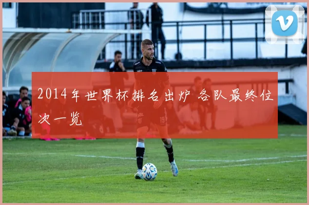 2014年世界杯排名出炉 各队最终位次一览