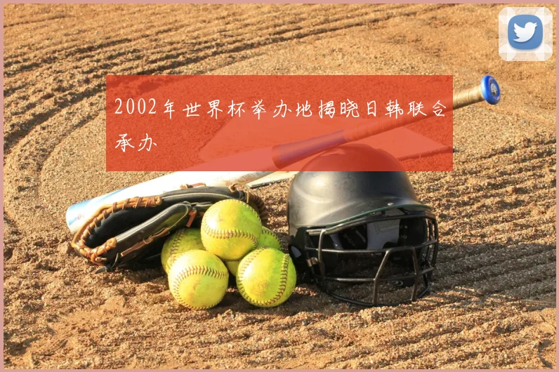 2002年世界杯举办地揭晓日韩联合承办