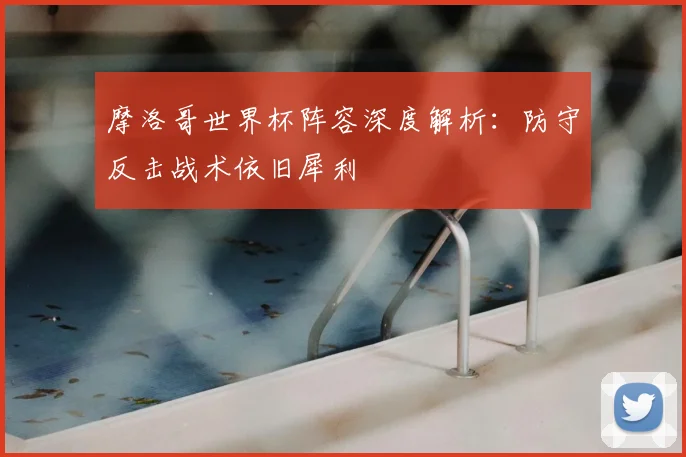 摩洛哥世界杯阵容深度解析：防守反击战术依旧犀利