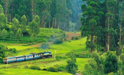 coonoor, ooty, nilgiri