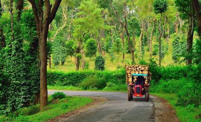 coorg, scenic view